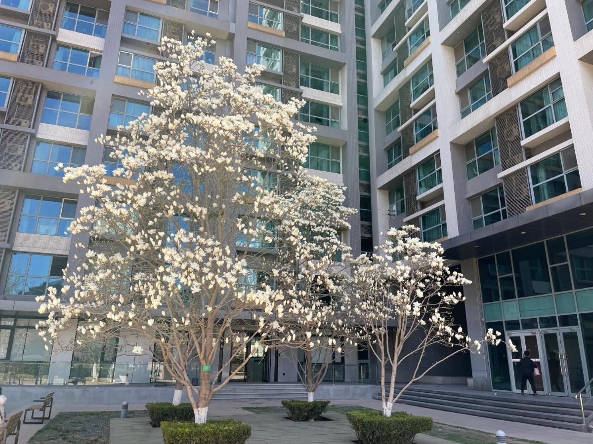 Beijing Elegant Seasons Park Apartment Exterior photo